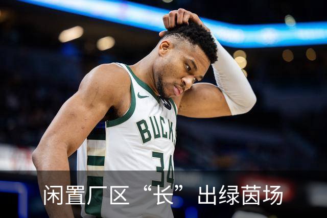 闲置厂区“长”出绿茵场